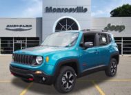 2020 Jeep Renegade RENEGADE TRAILHAWK® 4X4