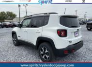 2020 Jeep Renegade RENEGADE TRAILHAWK® 4X4