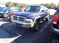 1999 Dodge Dakota Base