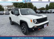 2020 Jeep Renegade RENEGADE TRAILHAWK® 4X4