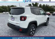 2020 Jeep Renegade RENEGADE TRAILHAWK® 4X4