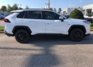 2020 Toyota RAV4 XLE 2T3W1RFVXLC083050